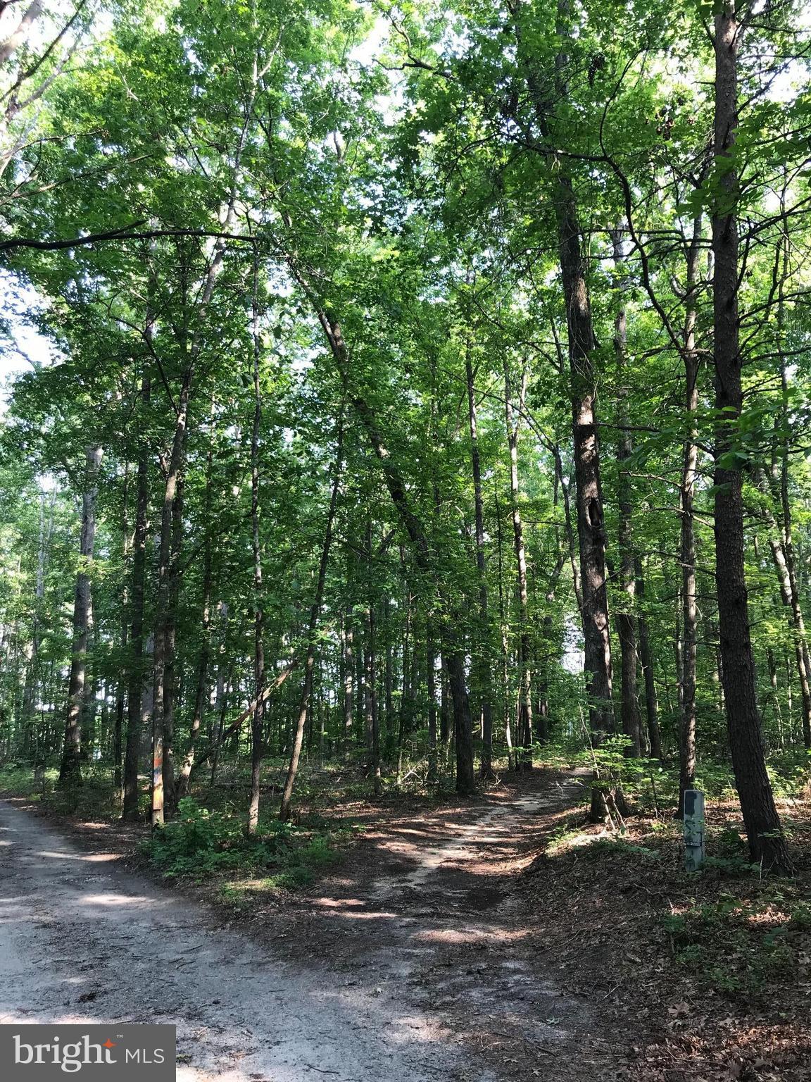 Talley Road Spotsylvania, VA 22553 - Photo 14 of 30 View