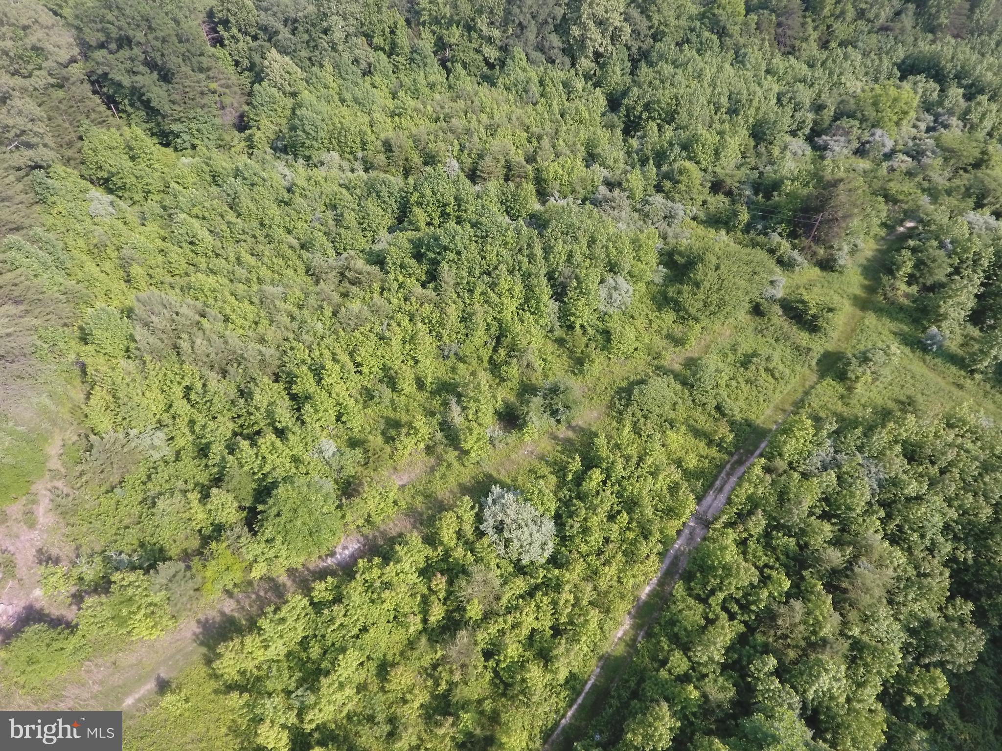 Talley Road Spotsylvania, VA 22553 - Photo 22 of 30 View