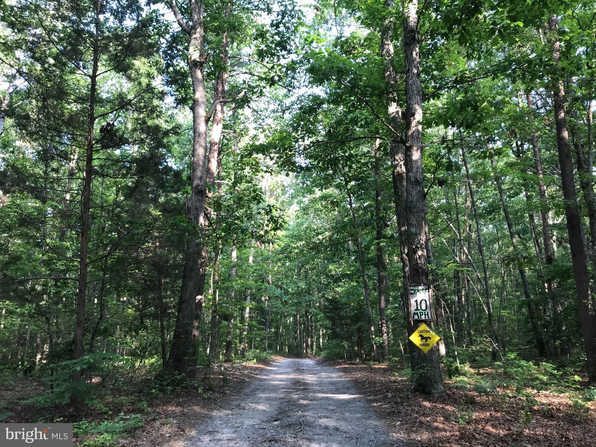 Talley Road Spotsylvania, VA 22553 - Photo 5 of 30 View