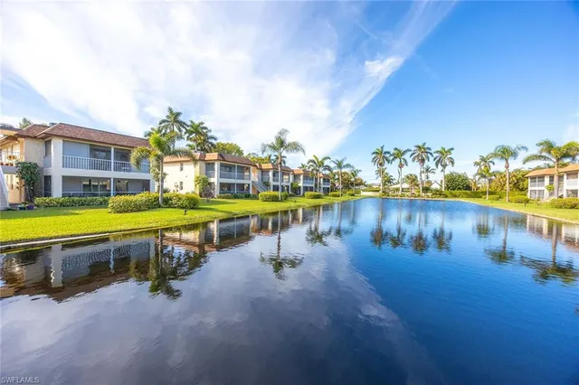 a view of a street with potted plants and palm trees