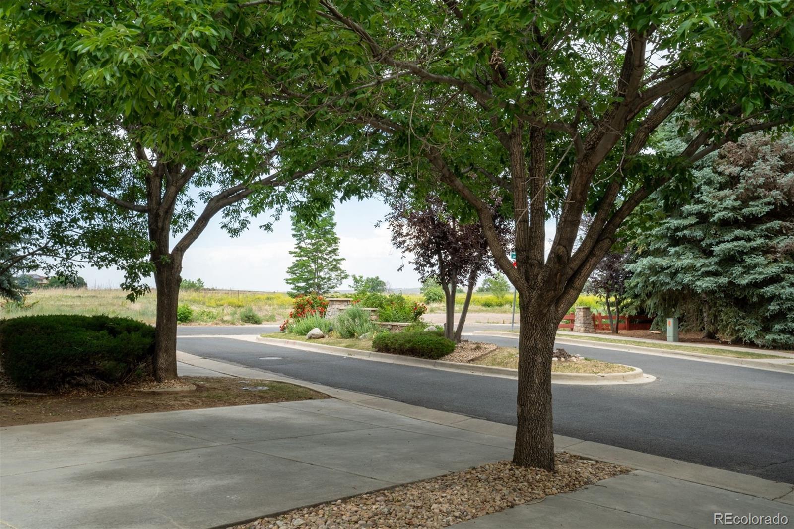 689 Wild Ridge Lane Lafayette, CO 80026 - Photo 4 of 39