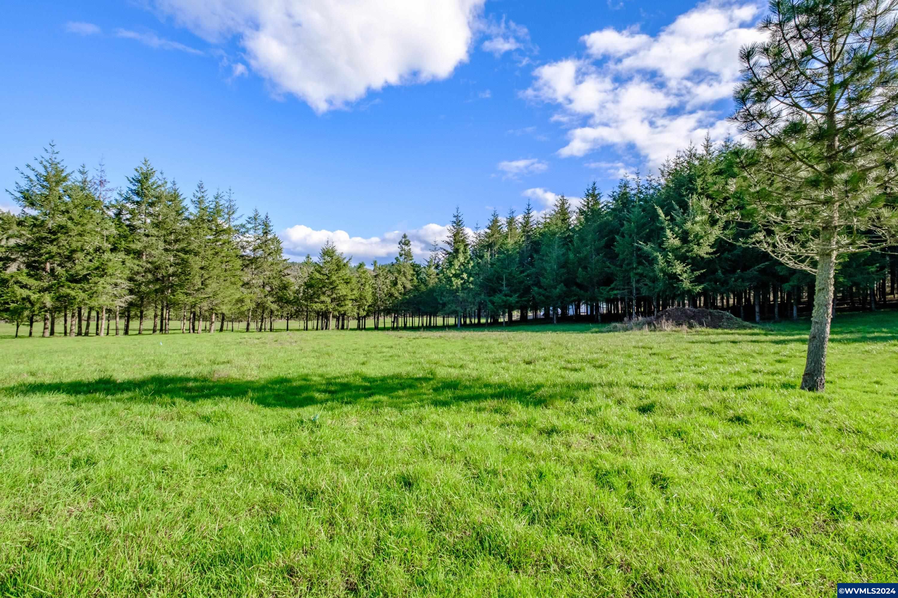 Buck Hill Lane Lebanon, OR 97355 - Photo 26 of 31
