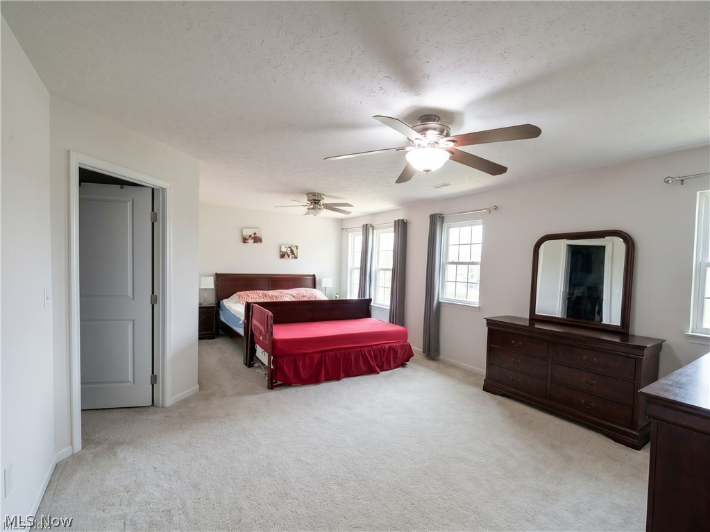 4509 Millbrook Way Akron, OH 44321 - Photo 17 of 27 Spacious carpeted room featuring multiple windows, two ceiling fans with light fixtures, and a white interior door