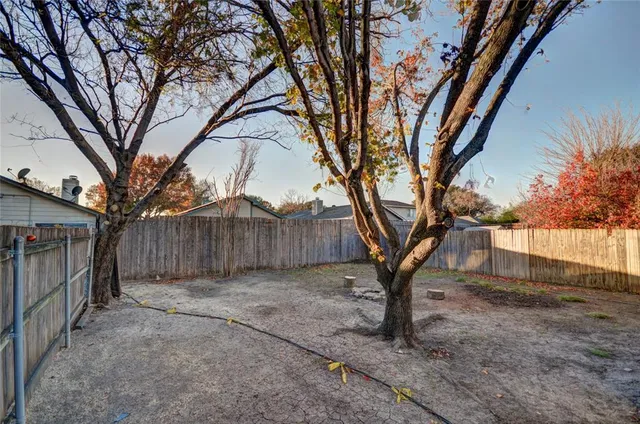 a view of a backyard with large trees and a large tree