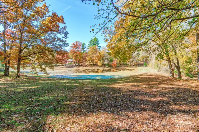 a view of a yard with large trees