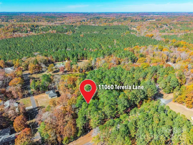 a view of a city with lush green forest