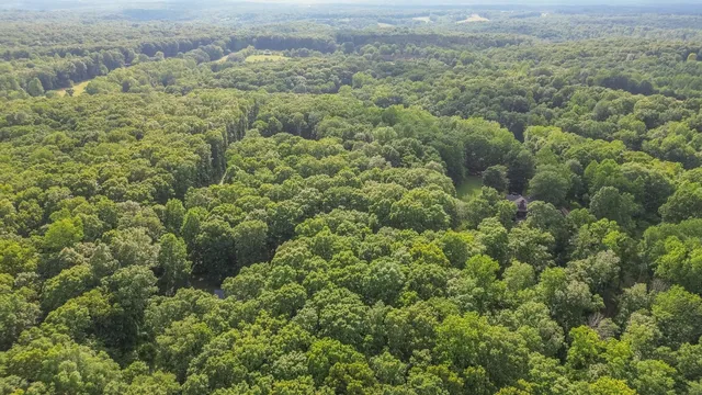 $559,000 | 7872 Oscar Green Road, Primm Springs, TN 38476