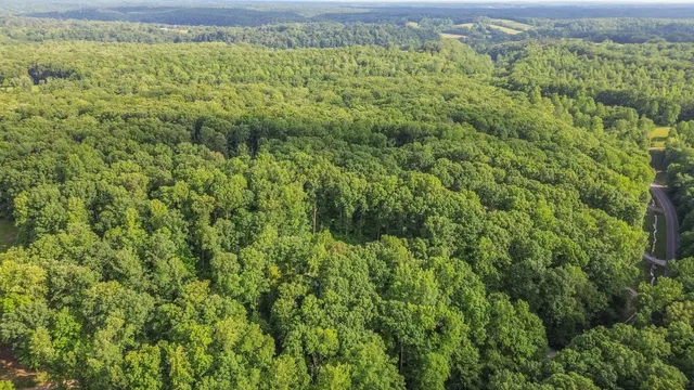 $559,000 | 7872 Oscar Green Road, Primm Springs, TN 38476