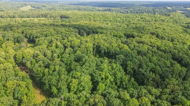 $559,000 | 7872 Oscar Green Road, Primm Springs, TN 38476