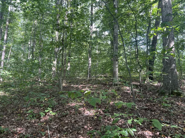 $559,000 | 7872 Oscar Green Road, Primm Springs, TN 38476