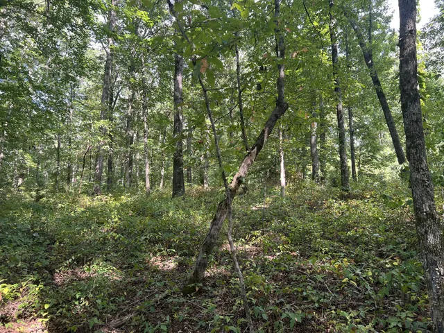 $559,000 | 7872 Oscar Green Road, Primm Springs, TN 38476