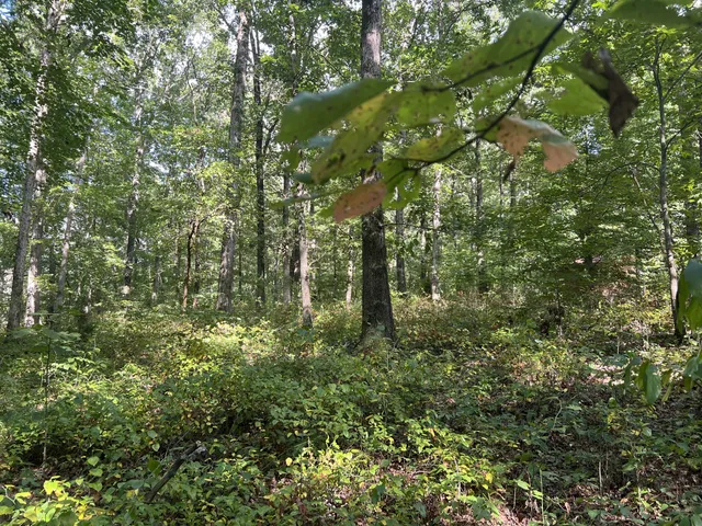 $559,000 | 7872 Oscar Green Road, Primm Springs, TN 38476