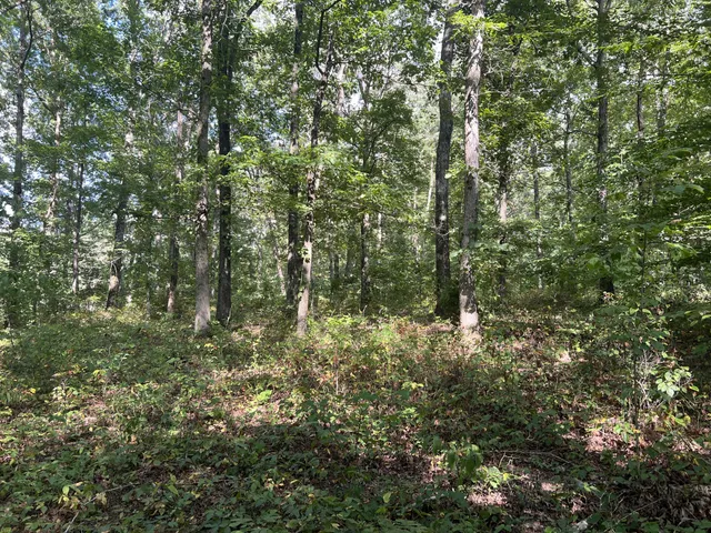 $559,000 | 7872 Oscar Green Road, Primm Springs, TN 38476