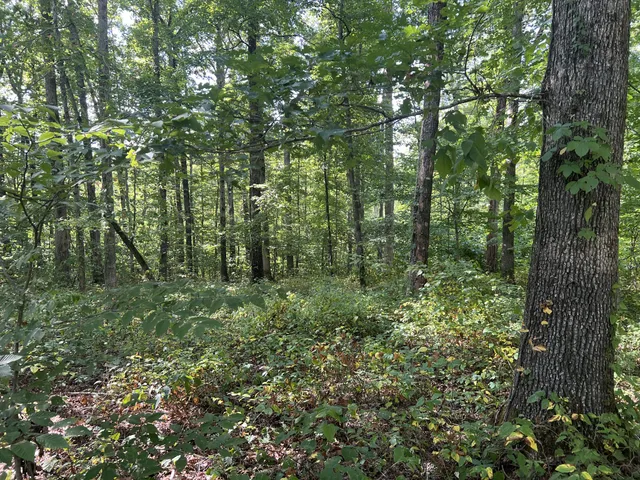 $559,000 | 7872 Oscar Green Road, Primm Springs, TN 38476