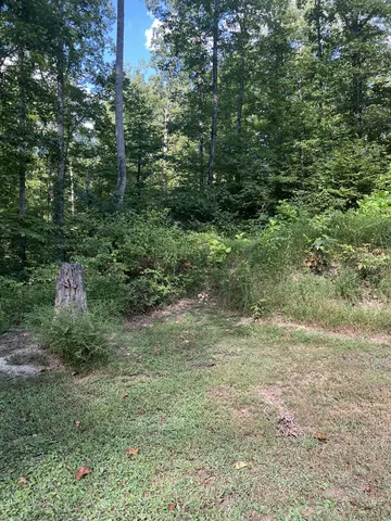 $559,000 | 7872 Oscar Green Road, Primm Springs, TN 38476