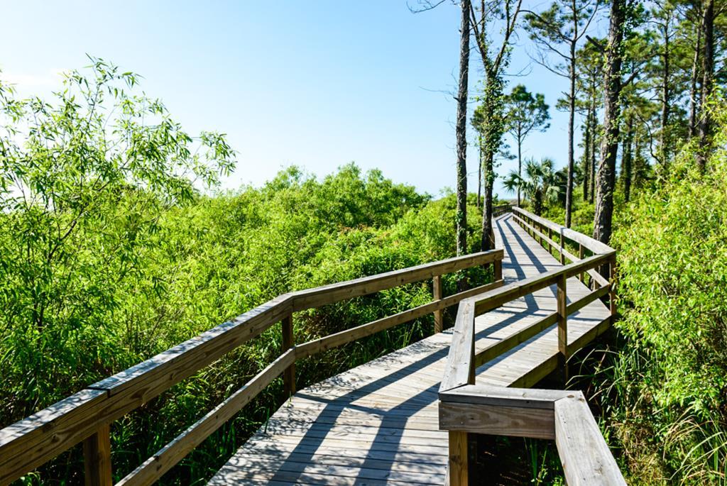 59 Loggerhead Lane Port St. Joe, FL 32456 - Photo 14 of 19