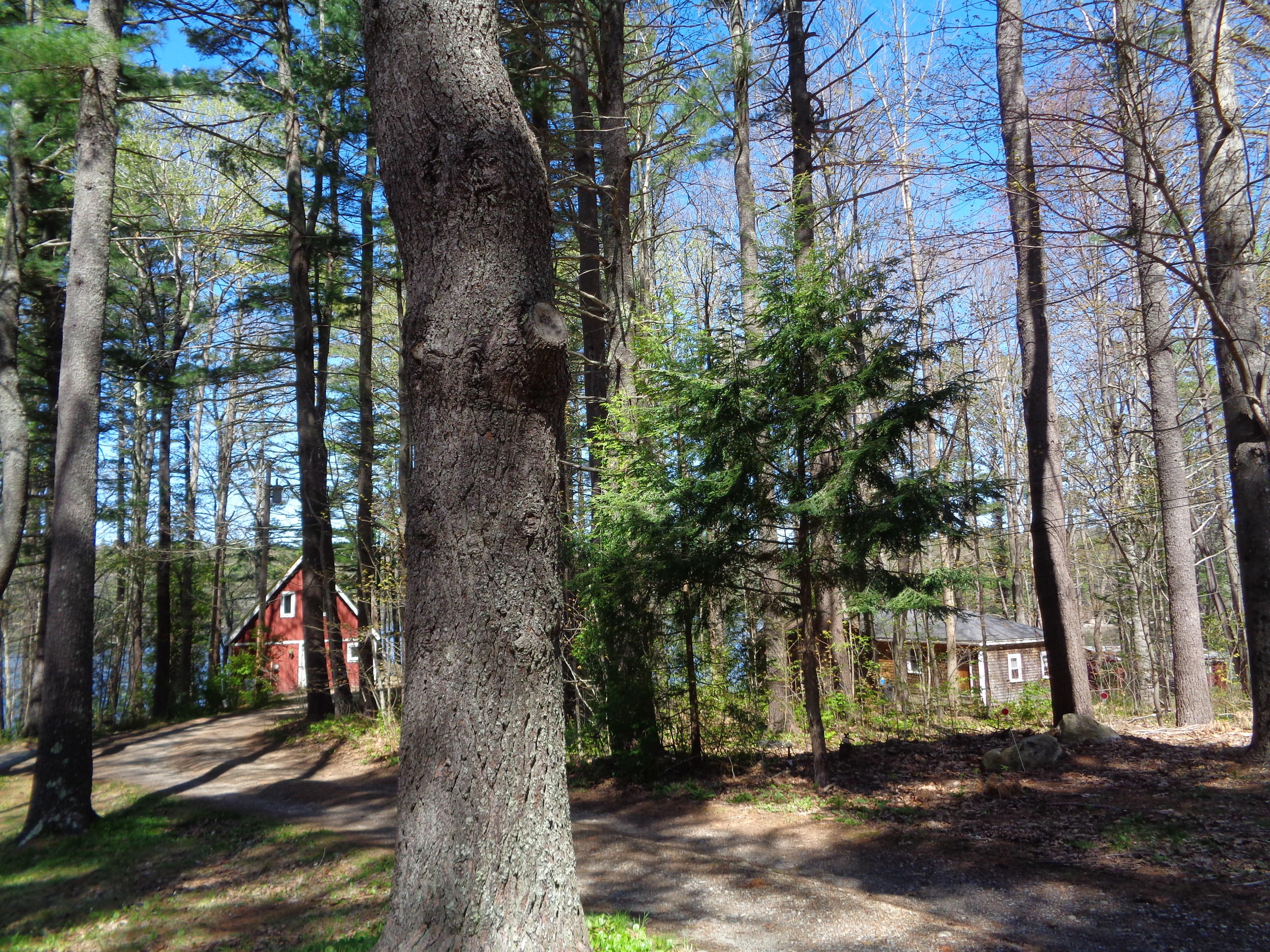 18 Shaw Road Westport Island, ME 04578 - Photo 8 of 43 DSC00393