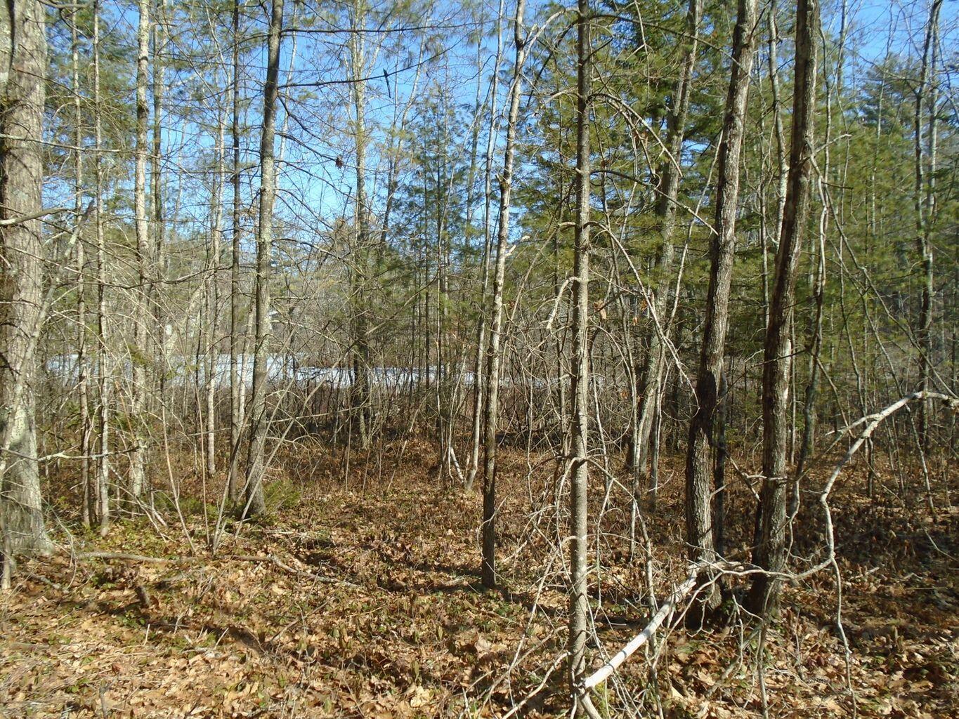 0 Lavalley Road Sanford, ME 04073 - Photo 21 of 22 Land Lavalley 4