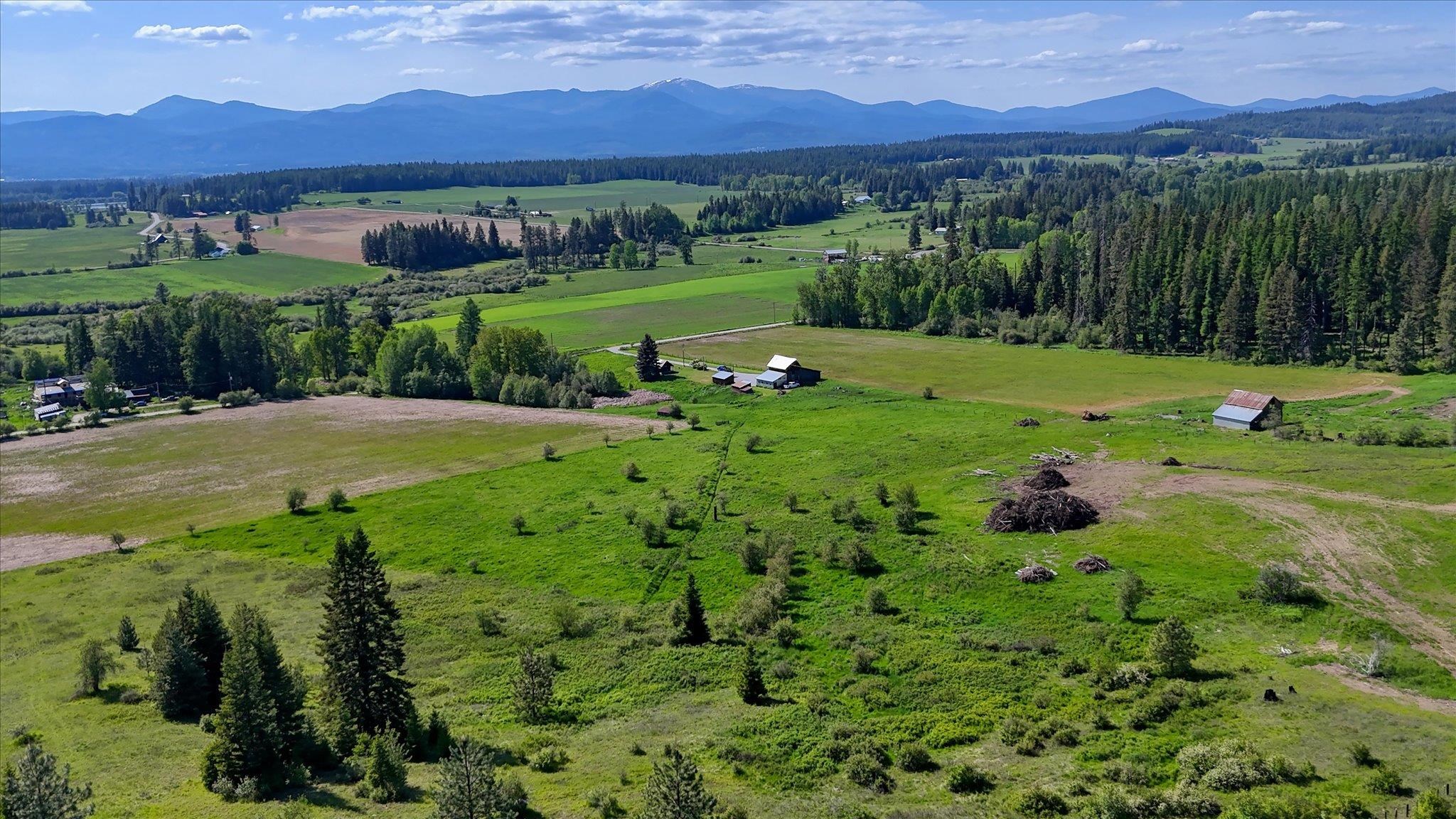 261 Sandwich Creek Road Usk, WA 99180 - Photo 37 of 50