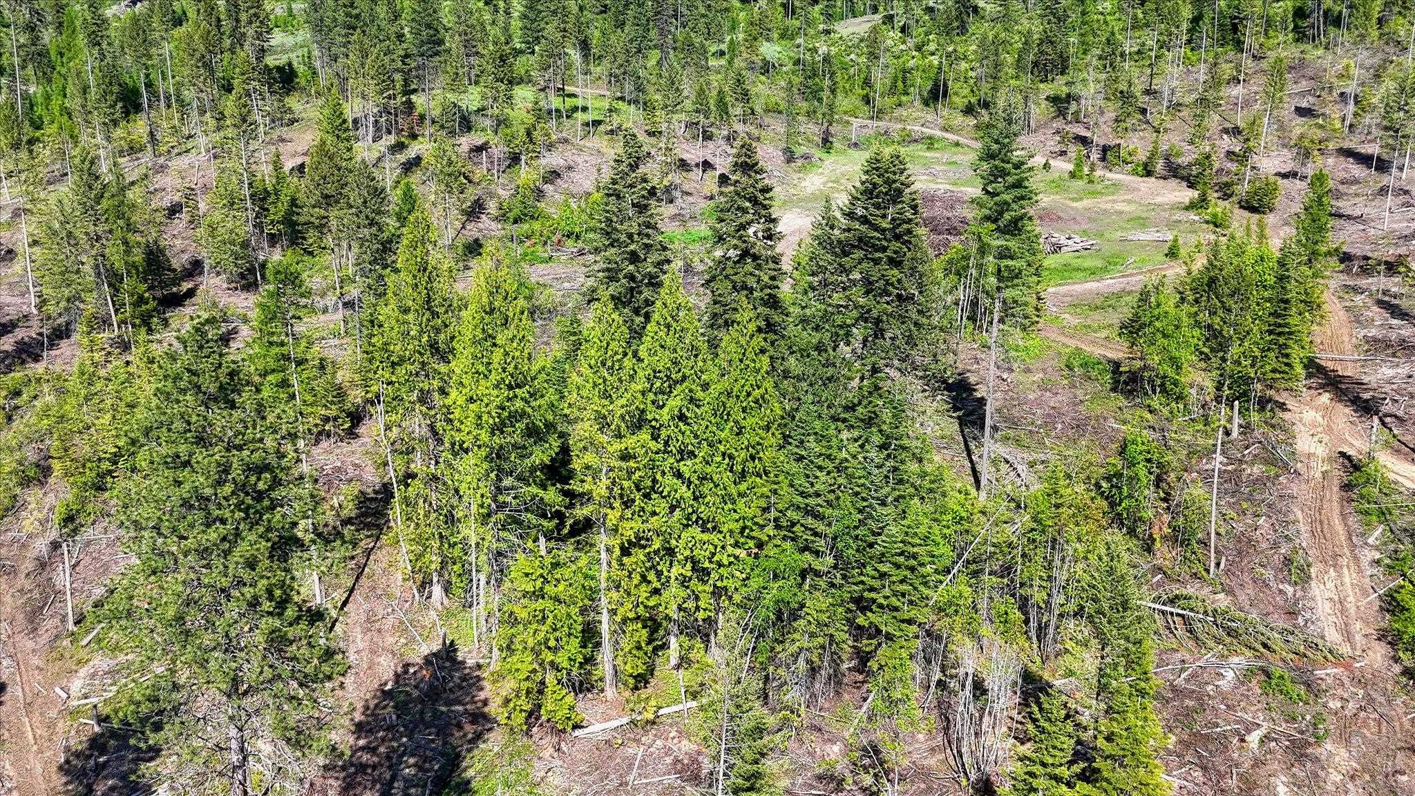 261 Sandwich Creek Road Usk, WA 99180 - Photo 39 of 50