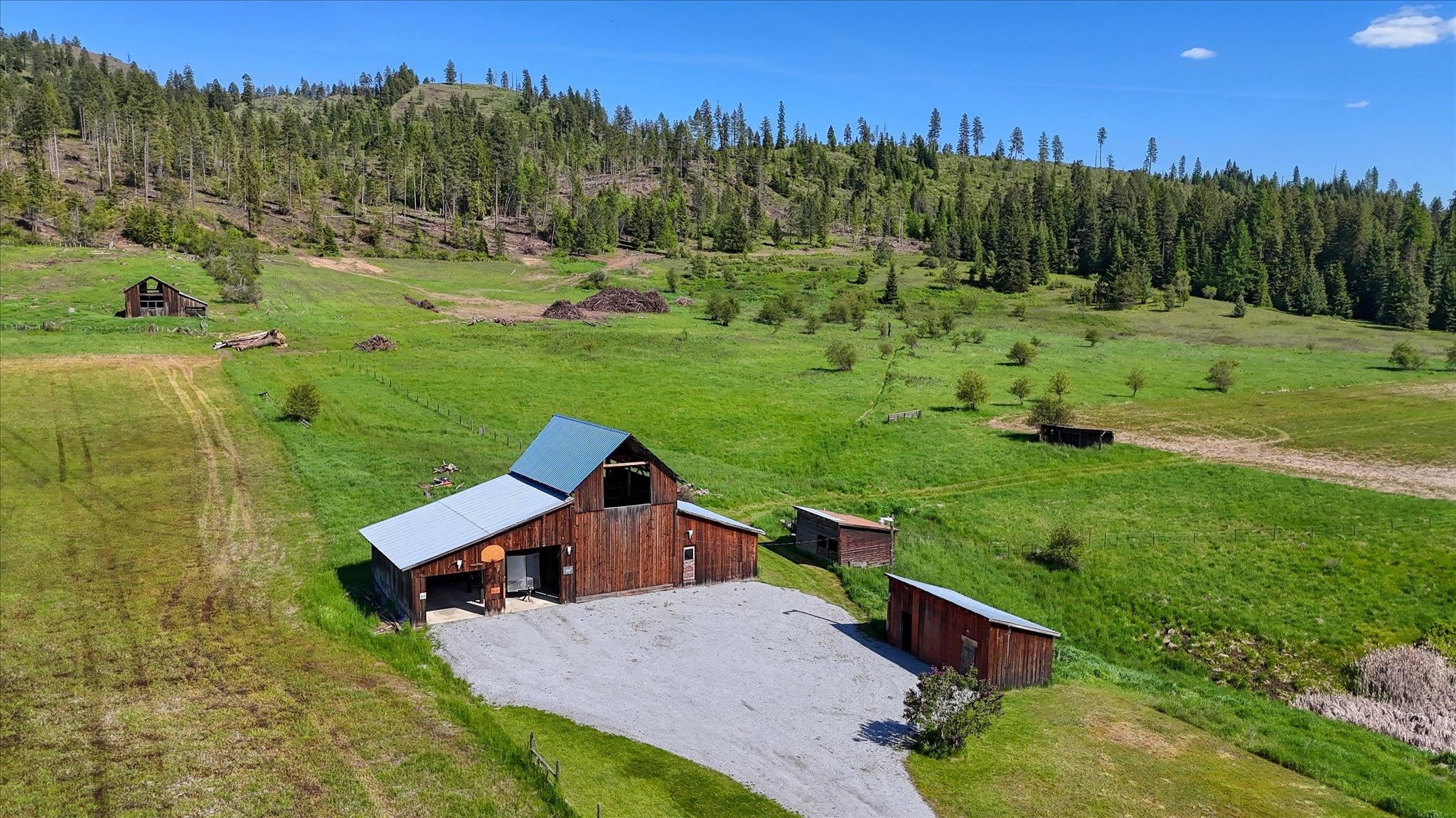 261 Sandwich Creek Road Usk, WA 99180 - Photo 49 of 50