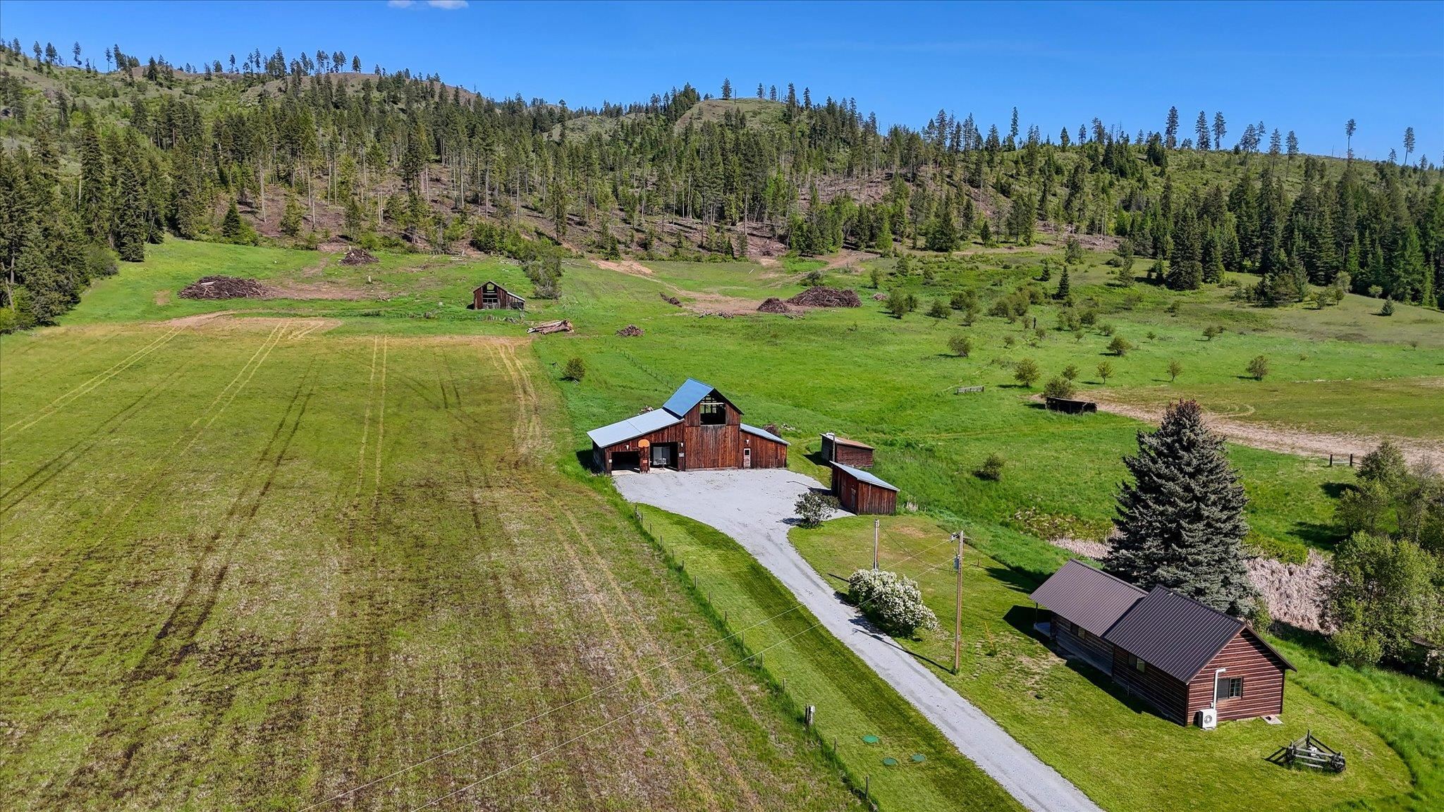 261 Sandwich Creek Road Usk, WA 99180 - Photo 7 of 50