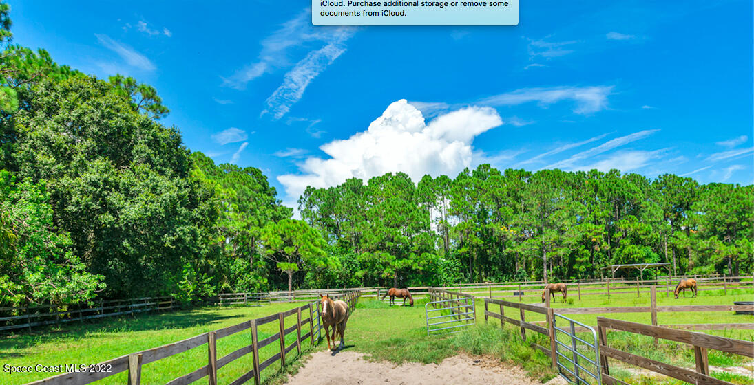 2005 Cox Road Cocoa, FL 32926 - Photo 15 of 35 horses:pastures