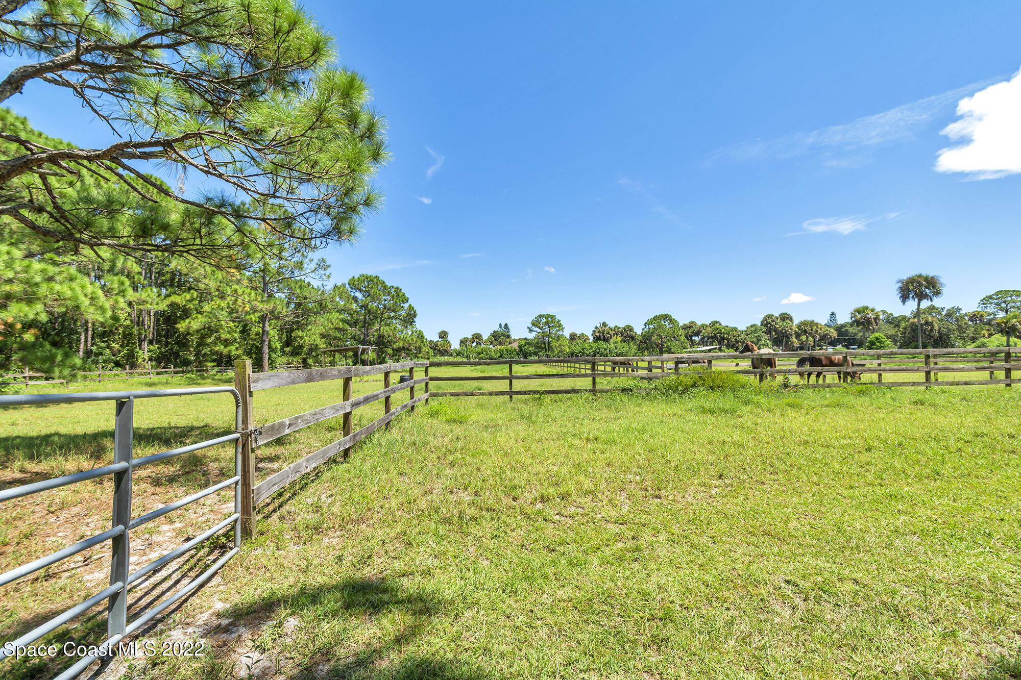 2005 Cox Road Cocoa, FL 32926 - Photo 35 of 35 pastures2