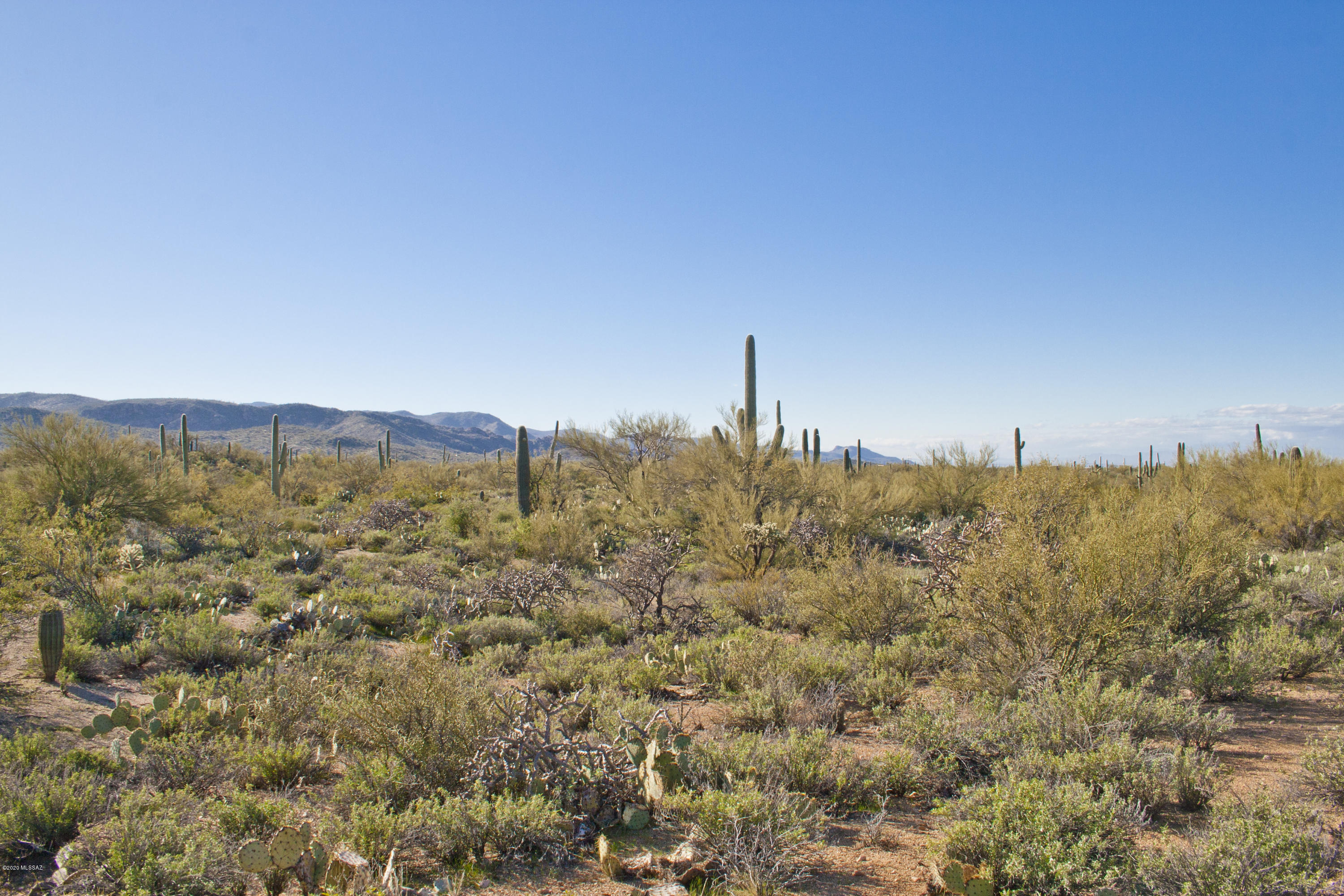 0 South Deerfield Road Marana, AZ 85658 - Photo 2 of 26