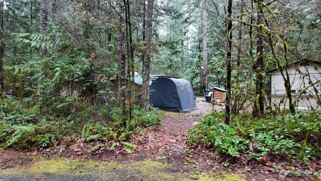 134 Jasper Trail Deming, WA 98244 - Photo 7 of 20 a backyard of a house with lots of green space