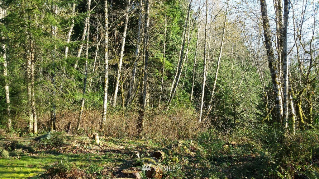 4 Manley Road Bellingham, WA 98229 - Photo 5 of 6 Gallery Image 5