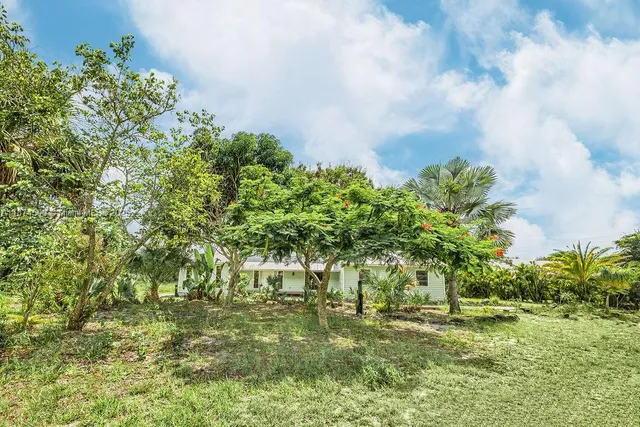 a view of a yard with a tree