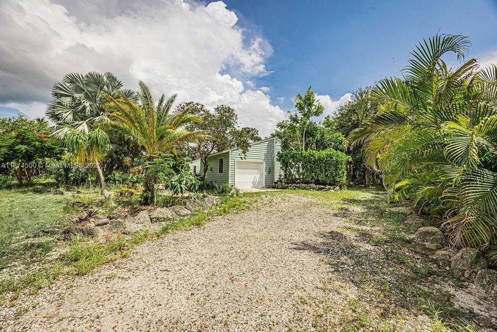 4882 Southeast Bayshore Terrace Stuart, FL 34997 - Photo 15 of 56 a view of a yard with a tree
