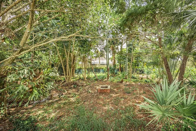 a view of a yard with plants and large trees