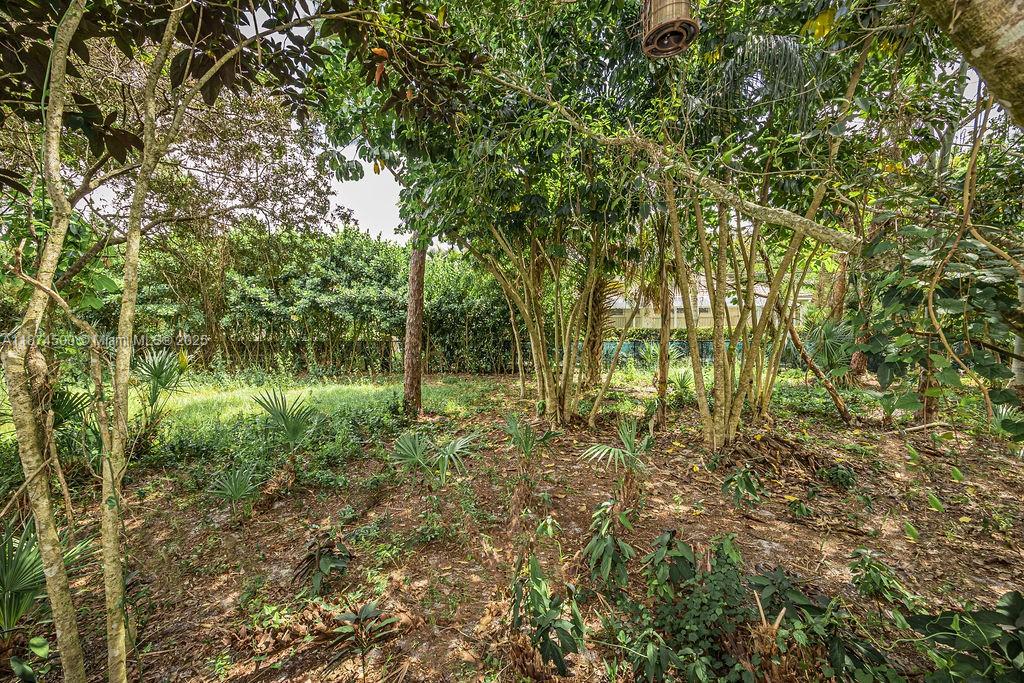 4882 Southeast Bayshore Terrace Stuart, FL 34997 - Photo 20 of 56 a backyard of a house with lots of green space