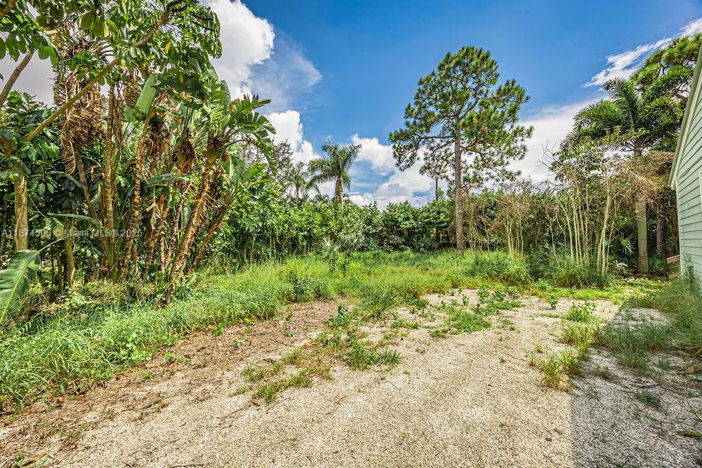 4882 Southeast Bayshore Terrace Stuart, FL 34997 - Photo 21 of 56 a view of a yard with plants and large trees