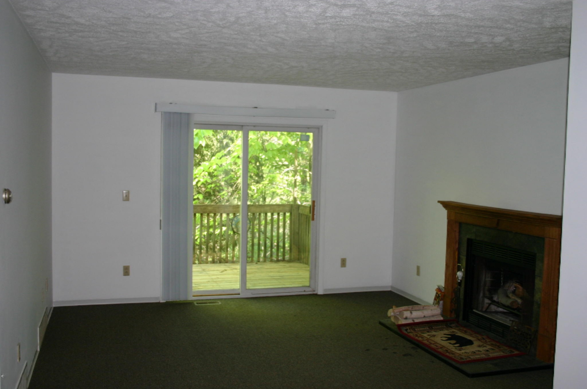 2868 East Garfield Road Hesperia, MI 49421 - Photo 11 of 27 IMG_4331
