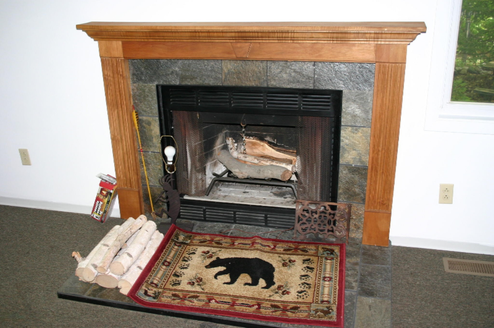 2868 East Garfield Road Hesperia, MI 49421 - Photo 12 of 27 IMG_4332