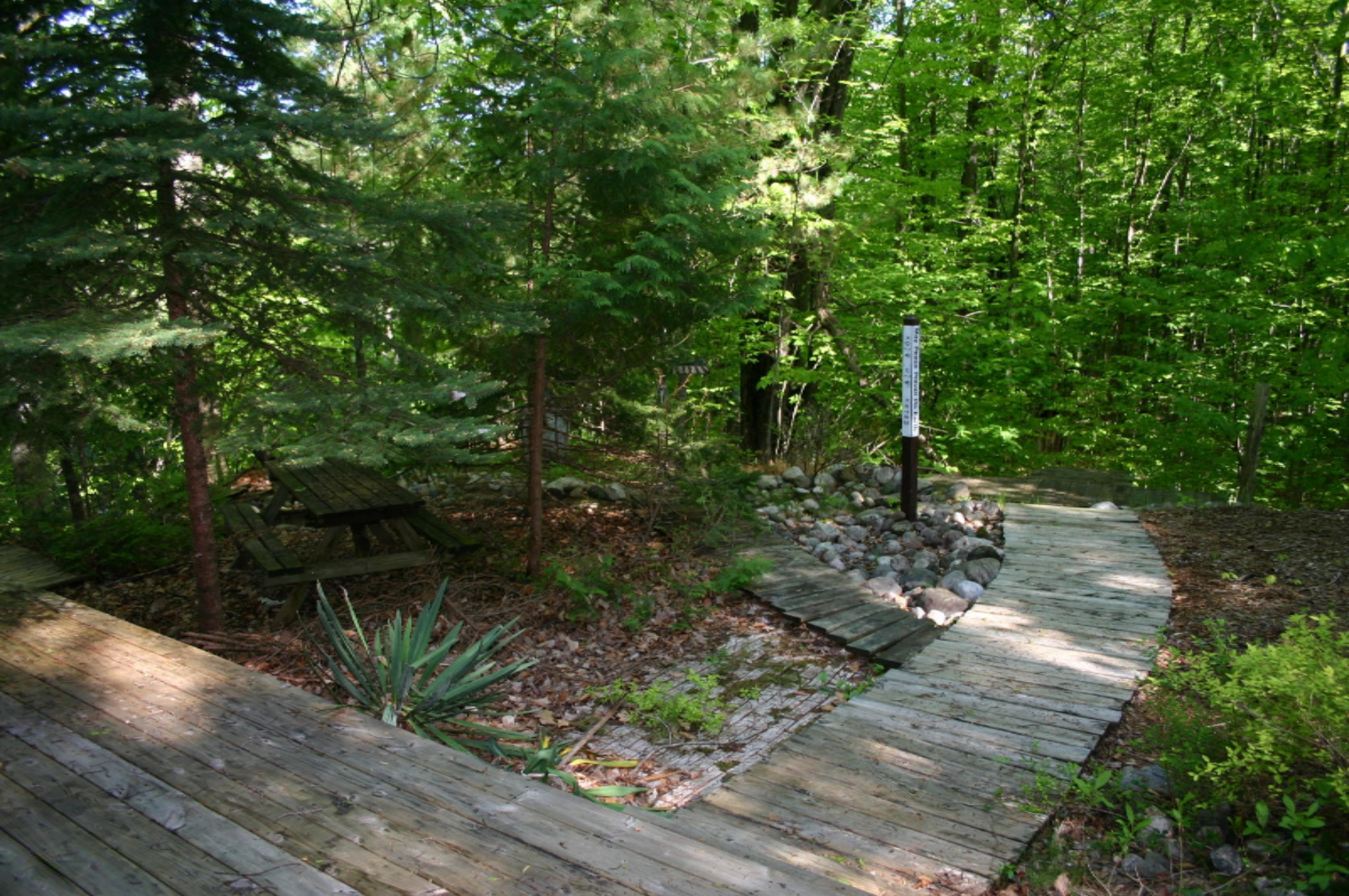 2868 East Garfield Road Hesperia, MI 49421 - Photo 7 of 27 IMG_4356