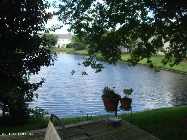 a view of a backyard with plants and a lake view