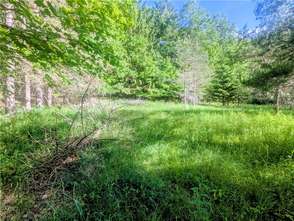 0 Two 2 Mile Road Port Allegany, PA 16743 - Photo 27 of 29