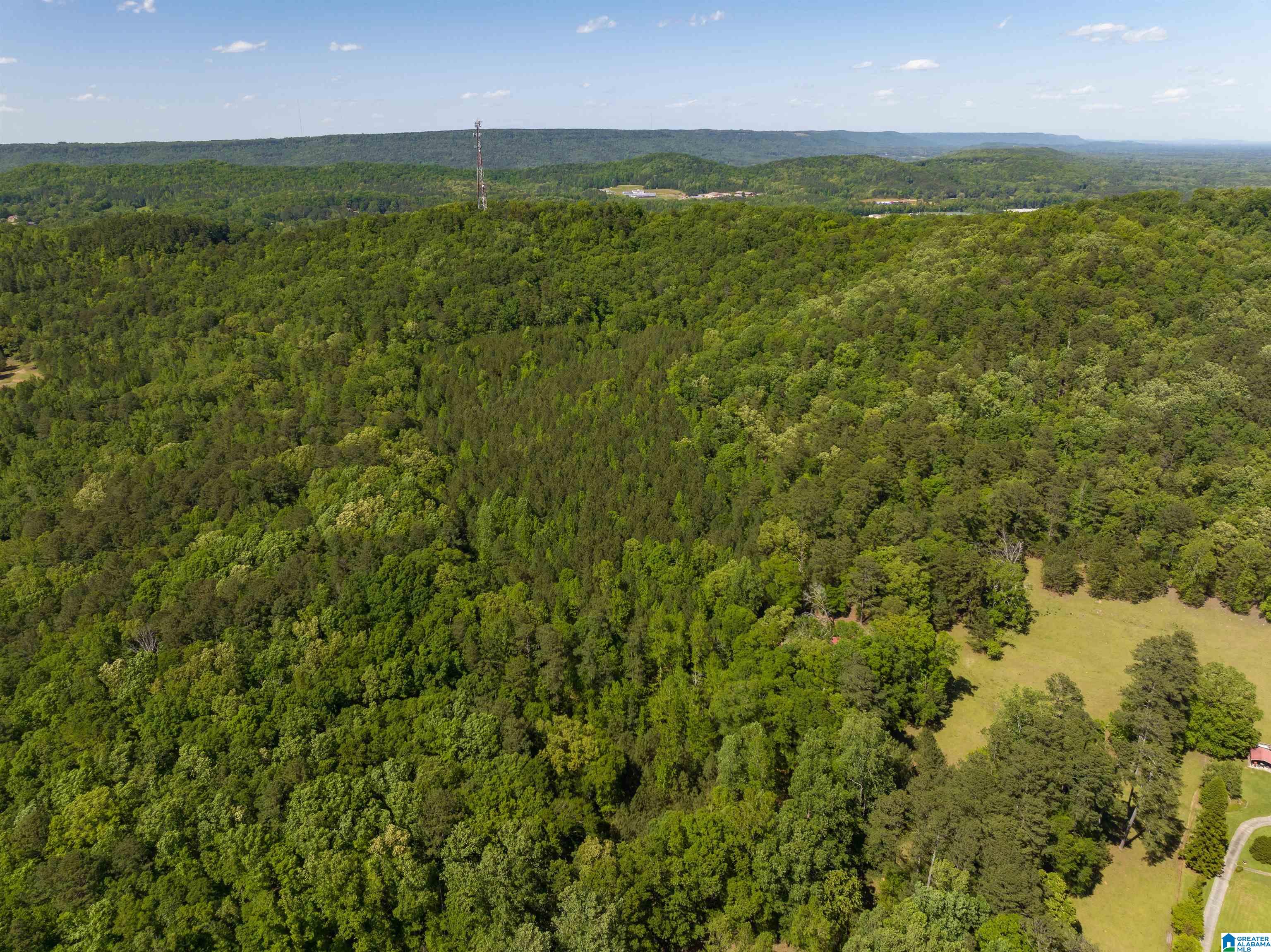 1649 Highway 174 Springville, AL 35146 - Photo 5 of 8