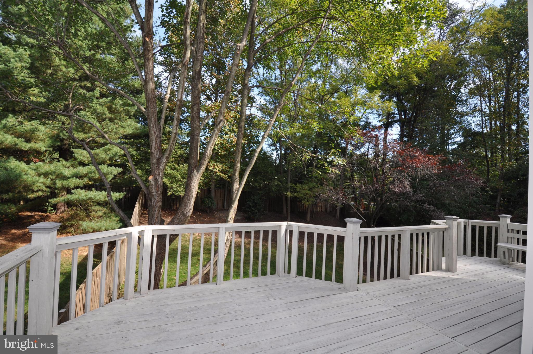 7922 Gambrill Court Springfield, VA 22153 - Photo 7 of 23 Upper Deck overlooks private back yard