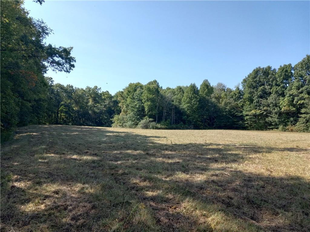 0 Sandy Lake Polk Road Sandy Lake, PA 16145 - Photo 3 of 10 Gallery Image 3
