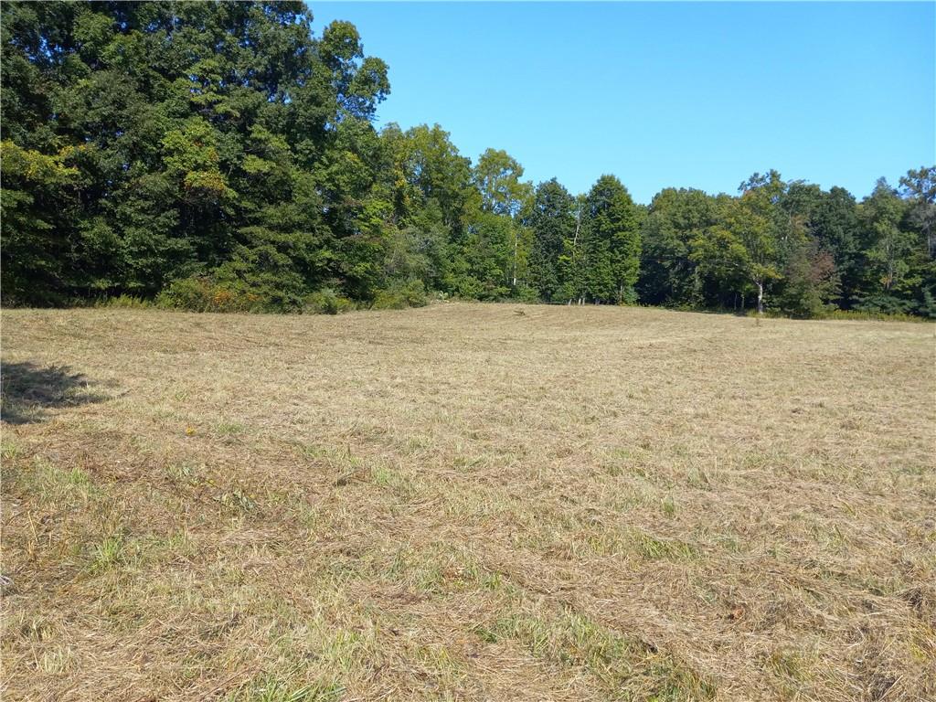 0 Sandy Lake Polk Road Sandy Lake, PA 16145 - Photo 6 of 10 Gallery Image 6