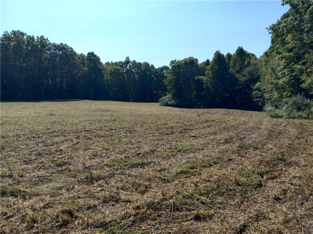 0 Sandy Lake Polk Road Sandy Lake, PA 16145 - Photo 8 of 10 Gallery Image 8