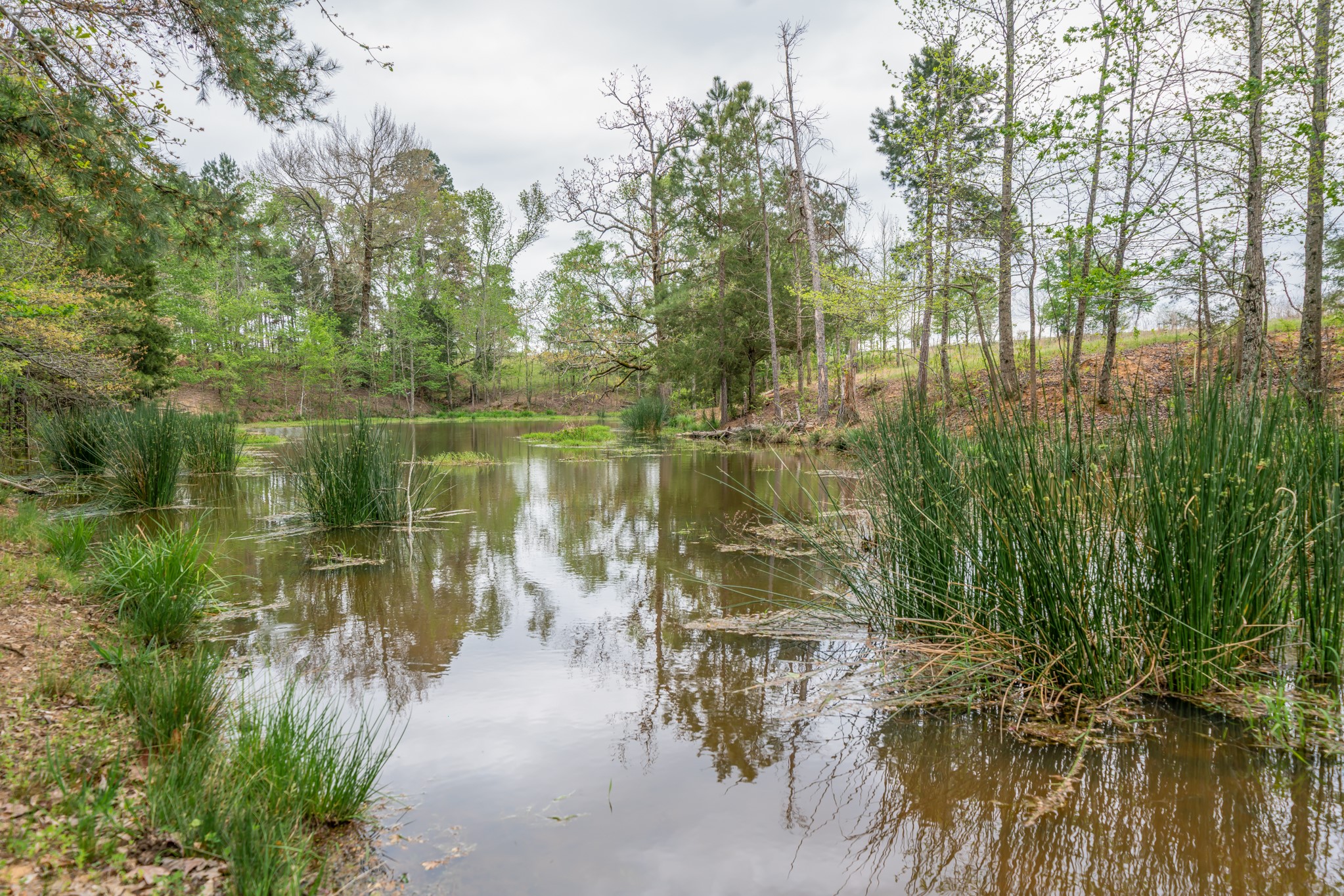 155 Ore City Tx 75683 Tyler, TX 75708 - Photo 47 of 50