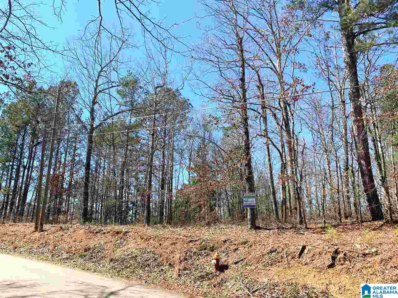 Hillcrest Street, Unit 1 Heflin, AL 36264 - Photo 1 of 7
