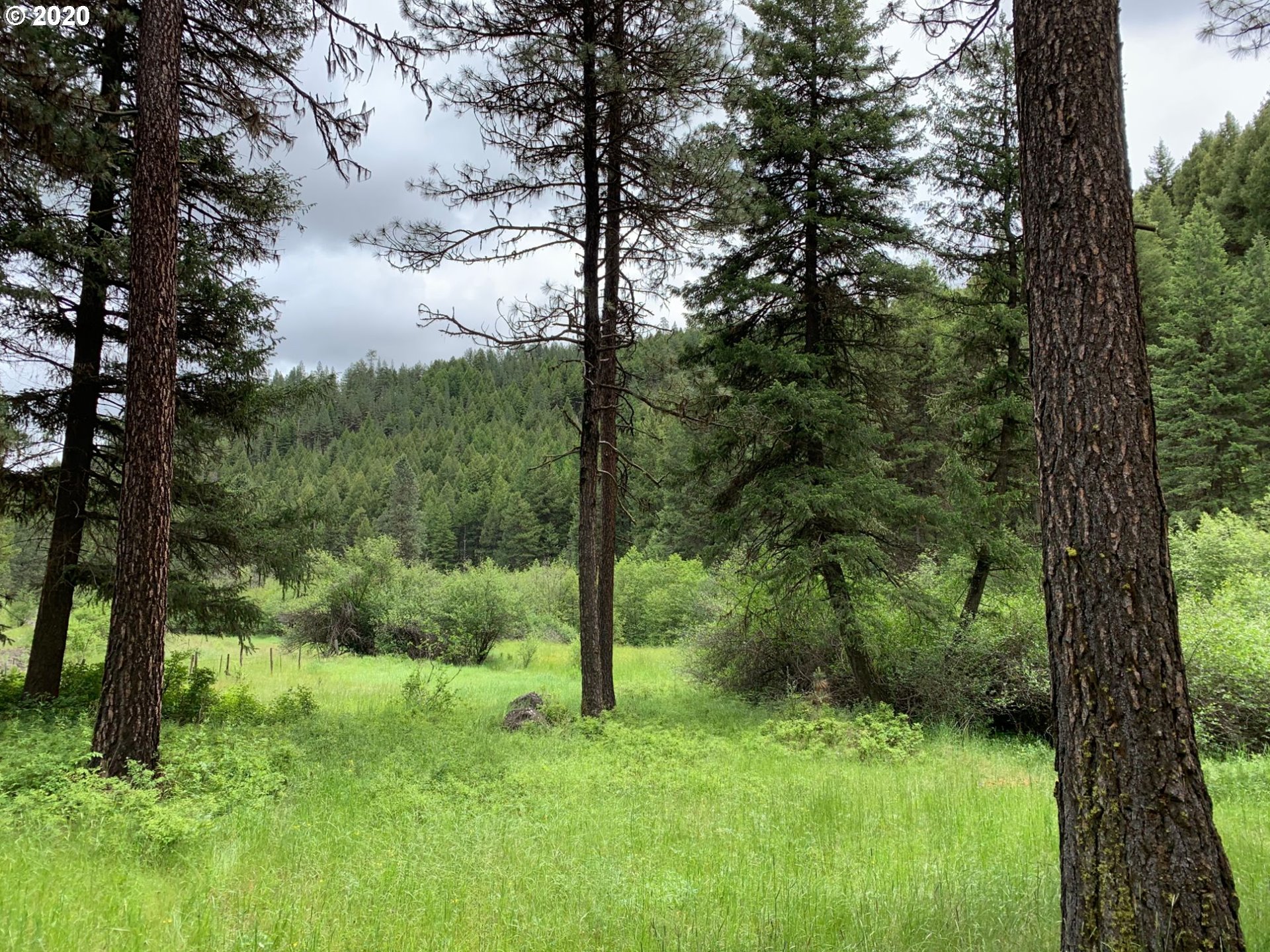 0 Charolais Road, Unit 1201 Enterprise, OR 97828 - Photo 2 of 8 Gallery Image 2