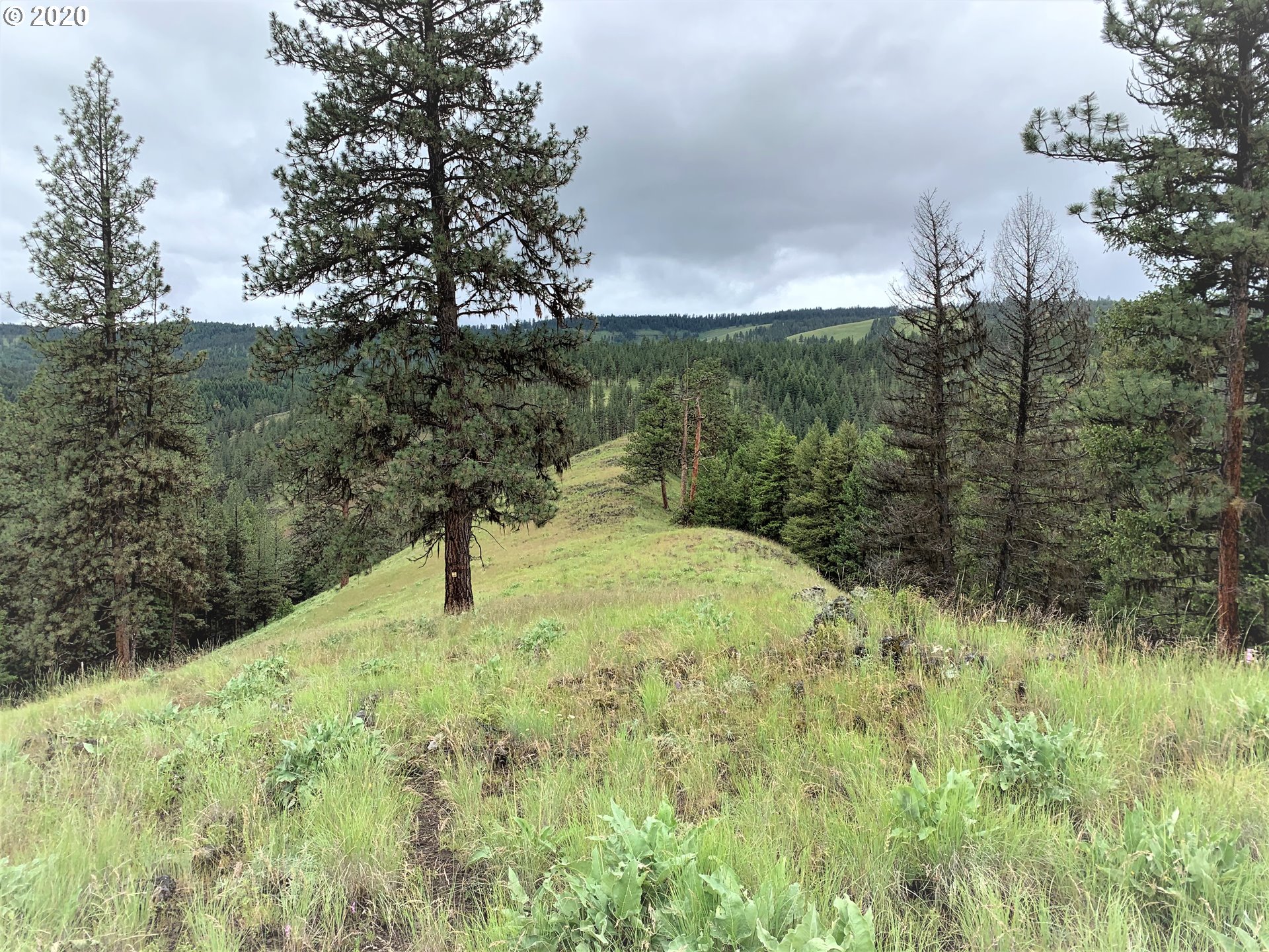0 Charolais Road, Unit 1201 Enterprise, OR 97828 - Photo 3 of 8 Gallery Image 3